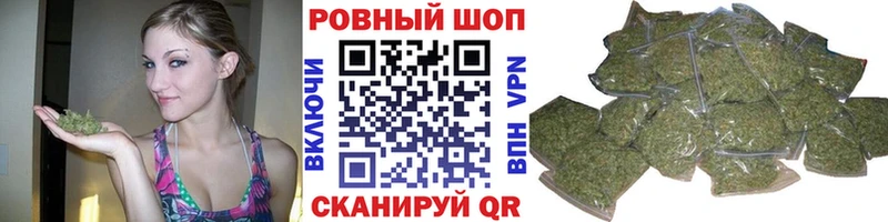 Конопля Санкт-Петербург