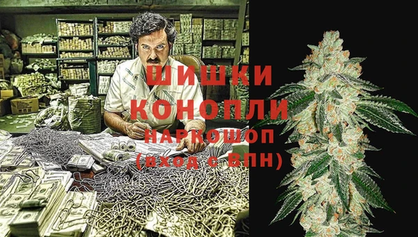 ГАЛЛЮЦИНОГЕННЫЕ ГРИБЫ Алексеевка