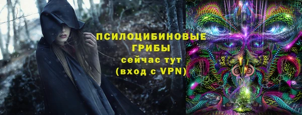 ГАЛЛЮЦИНОГЕННЫЕ ГРИБЫ Алексеевка