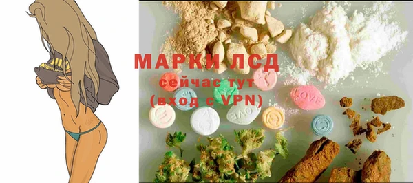 ГАЛЛЮЦИНОГЕННЫЕ ГРИБЫ Алексеевка
